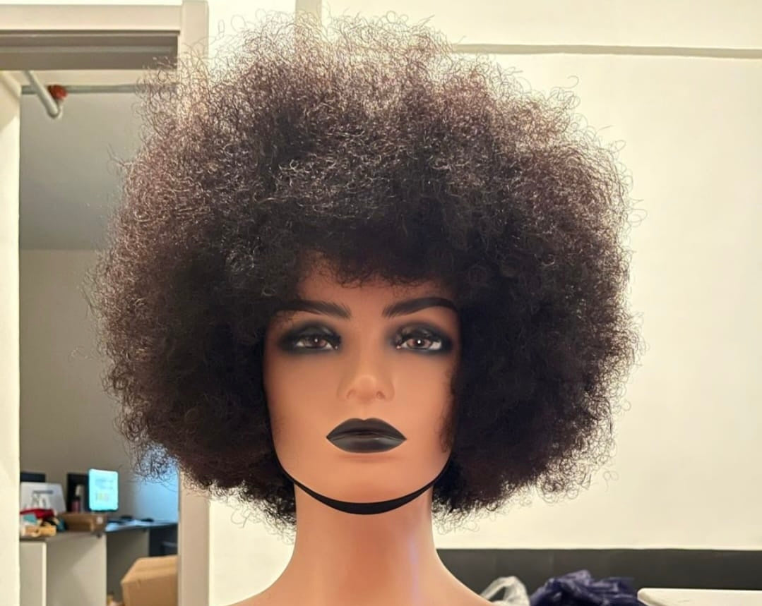 Afro wig  100%human hair